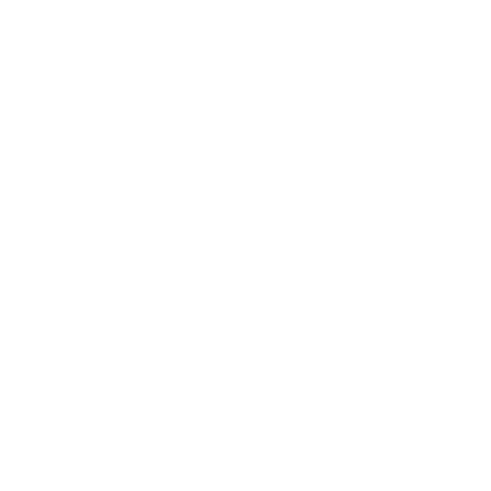 Light & Wonder logo
